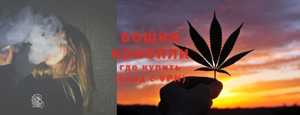 МДПВ Инта