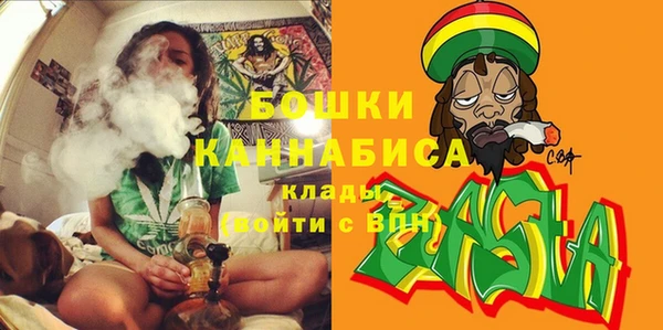 МДПВ Инта
