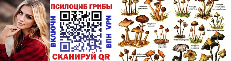 MEGA зеркало  Морозовск  Галлюциногенные грибы мухоморы 