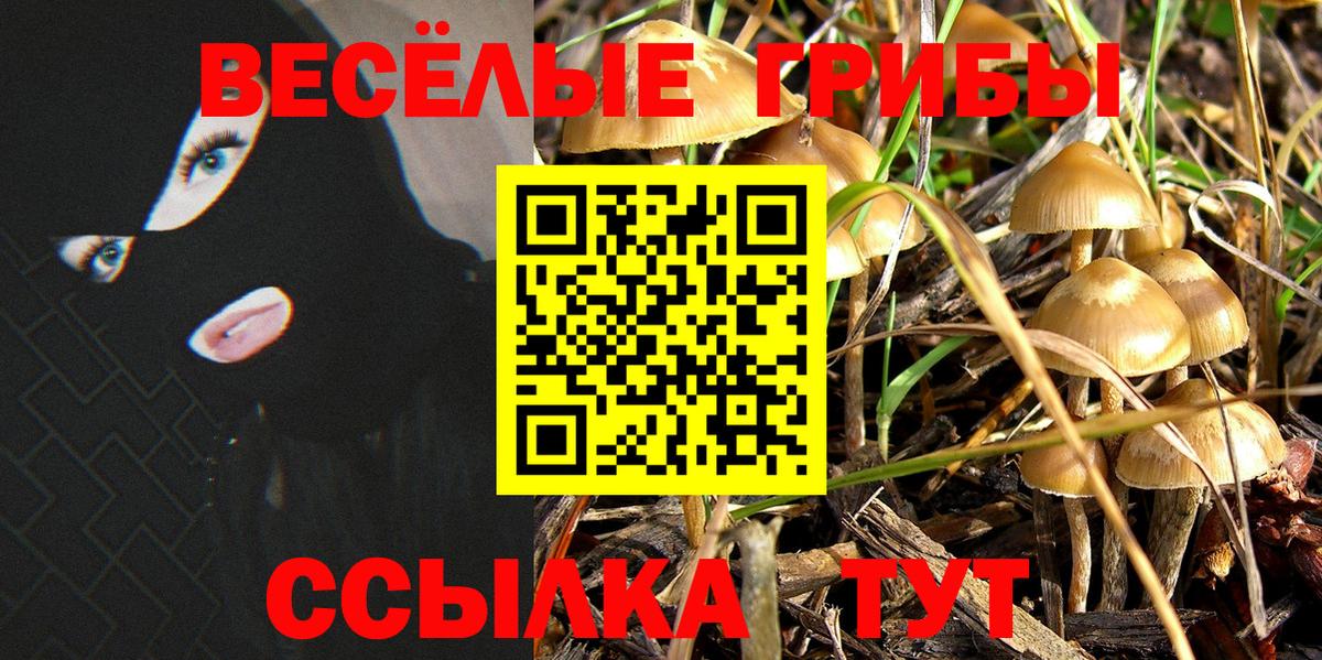 Псилоцибиновые грибы Psilocybe Морозовск