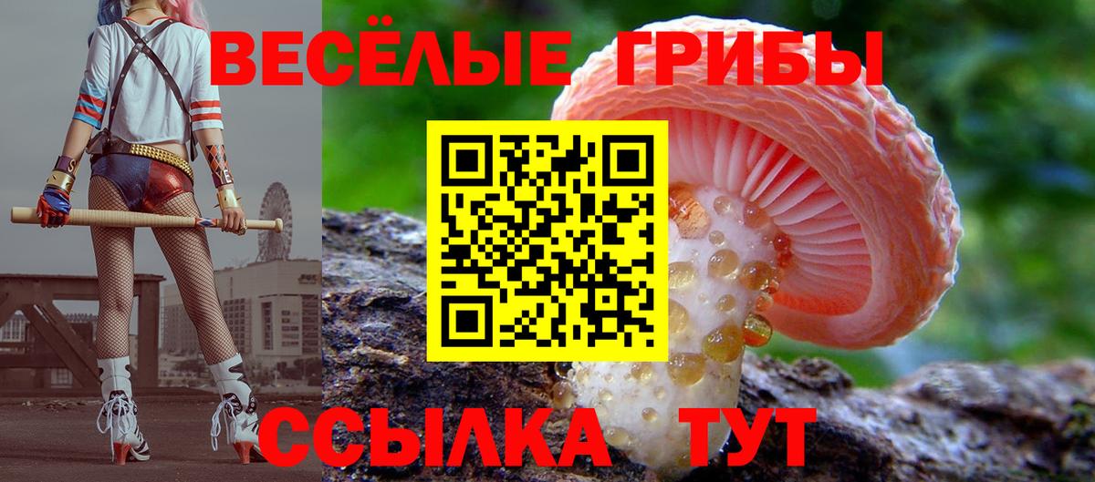 Морозовск  Галлюциногенные грибы мухоморы  Вход с VPN 